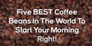 5 Best Coffee Beans In The World